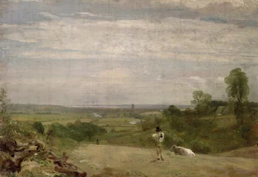 Sommermorgen: Dedham fra Langham